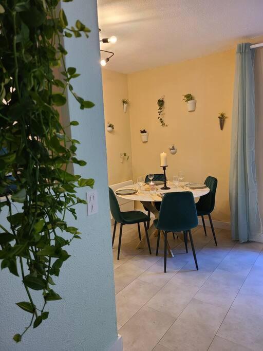 Joli Studio Renove Situe Au Pied Des Thermes Amelie-les-Bains-Palalda Luaran gambar