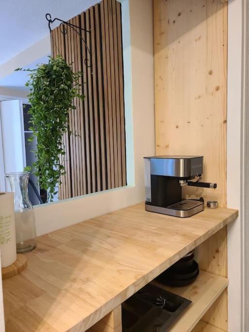 Joli Studio Renove Situe Au Pied Des Thermes Amelie-les-Bains-Palalda Luaran gambar