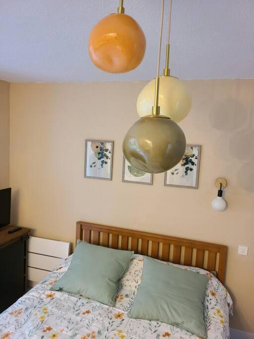 Joli Studio Renove Situe Au Pied Des Thermes Amelie-les-Bains-Palalda Luaran gambar