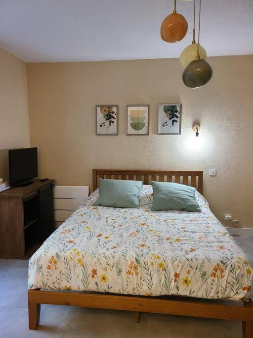 Joli Studio Renove Situe Au Pied Des Thermes Amelie-les-Bains-Palalda Luaran gambar